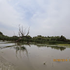 IMG_5218.JPG