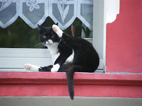 DSCF7958.JPG