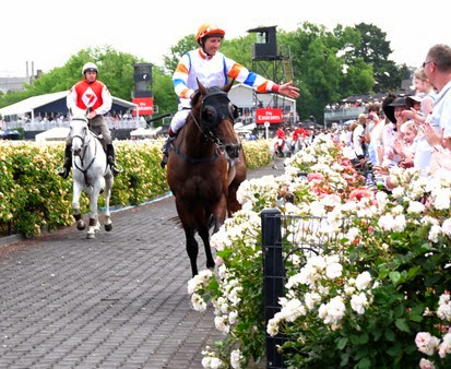 race 5_le roi 4 race 5_le roi 4