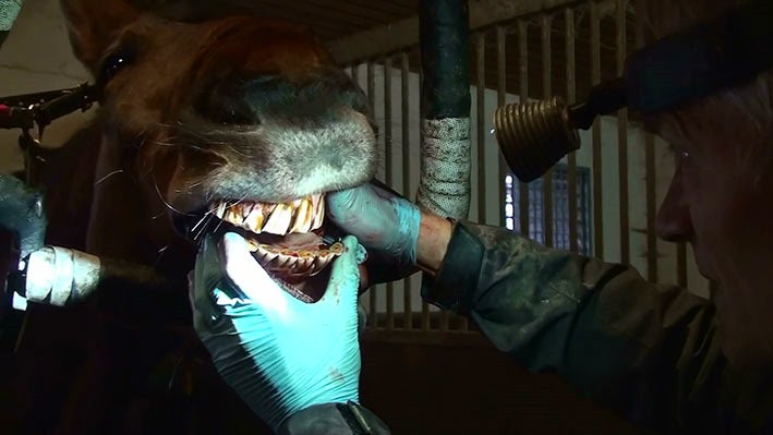 [20141114121610-%25285%2529%255B2%255D.jpg]