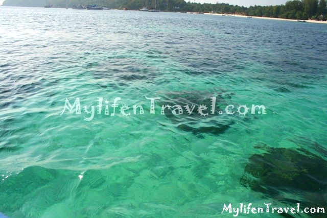 Koh Lipe Fun dive 31 Koh Lipe Fun dive 31