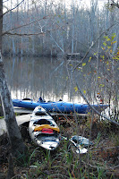 DSC_6534.JPG