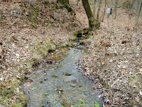 DSCN1896.JPG