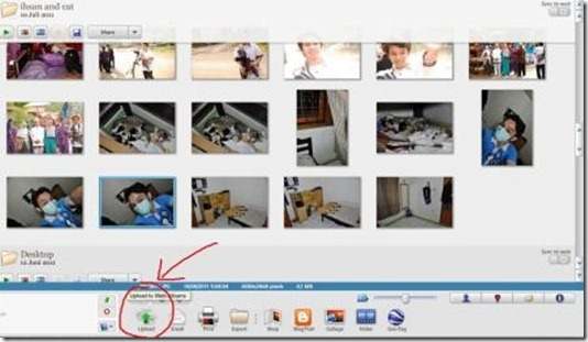 picasa picasa