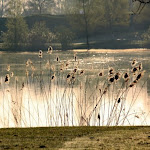 IMG_1268.JPG