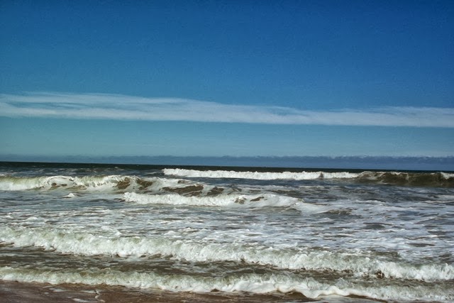 [Assateague%2520Monday%2520%252861%2529%255B4%255D.jpg]