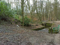DSC00255.JPG Photo