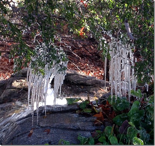 Icicles 1-12-2013 9-00-25 AM 2372x2232