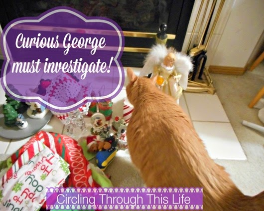 The cat investigates Christmas deocrations ~ Circling Through This life ~ Taking Down the Christmas Decorations