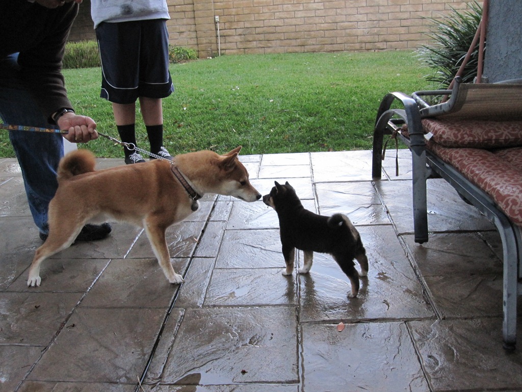 [IMG_0206%255B6%255D.jpg]