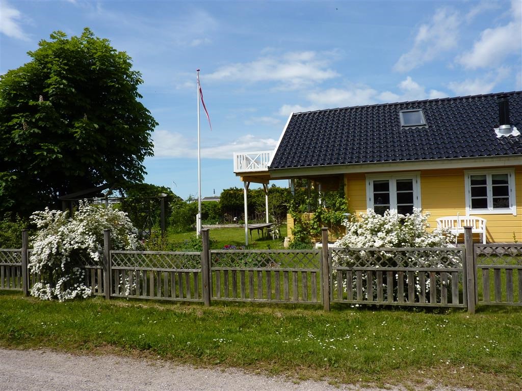 [P1030230-Medium3.jpg]