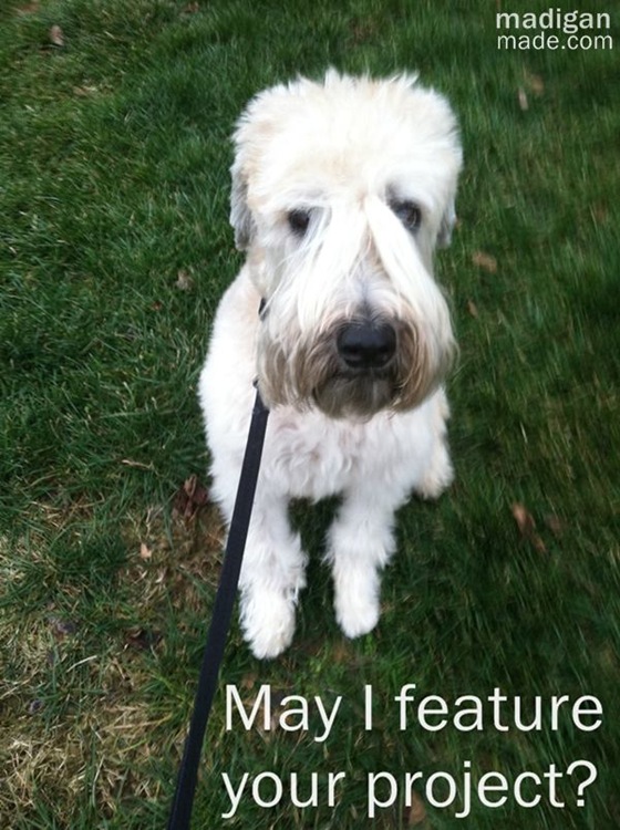 [wheaten-dog-photo%255B5%255D.jpg]