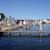DSC00177c.jpg