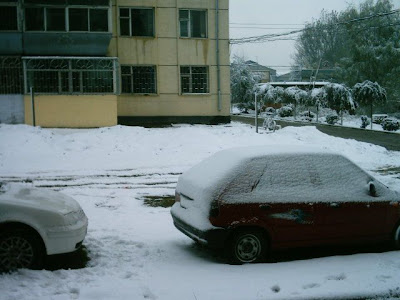 Fist snowfall - November 2004 - taken outside my apartment block