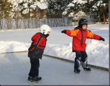 backyard skating rink