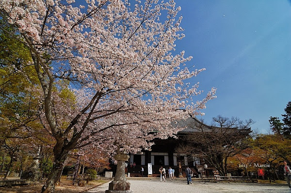京都真如堂