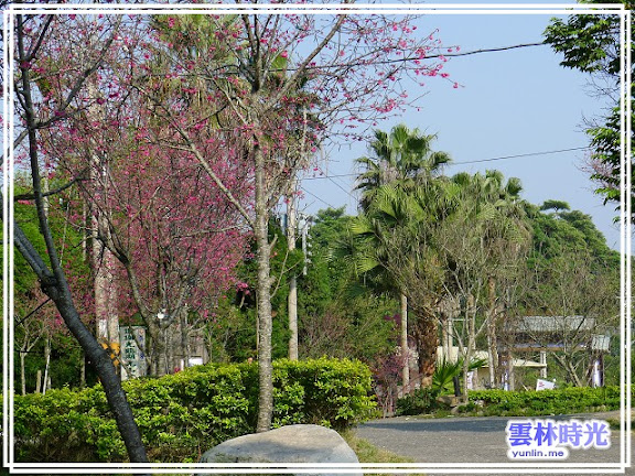 a017.jpg