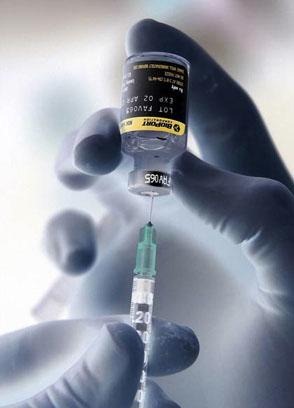 [Vaccine%255B5%255D.jpg]
