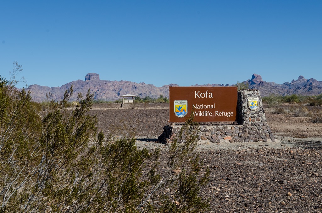 [Painted%2520Desert%2520Trail%2520%252838%2520of%252045%2529%255B2%255D.jpg]