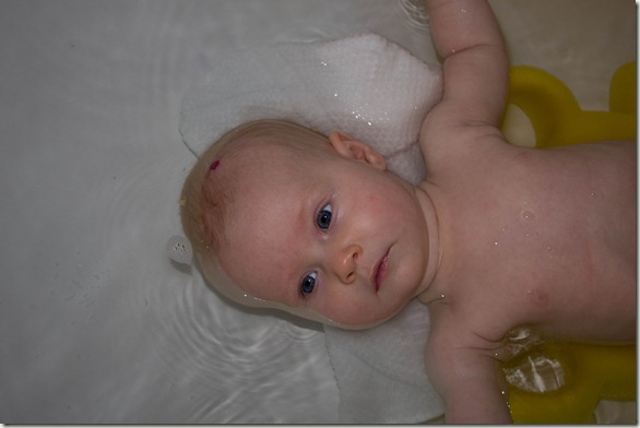 IMG_7508 IMG_7508