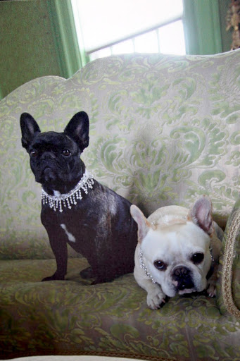 She must have used this photo of us wearing our bejeweled collars for inspiration!