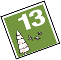 31-Days-Calendar-Image