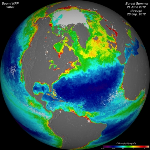 The Suomi NPP satellite, the newest polar-orbiting satellite in the U.S. fleet, can track ocean chlorophyll concentrations. The purple and blue colors represent lower chlorophyll concentrations. The oranges and reds represent higher chlorophyll concentrations. These differences in color indicate areas with lesser or greater phytoplankton in the ocean. Photo: Norman Kuring / NASA / Suomi NPP