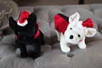 Francesca and Sharkey toys!  They're even wearing coats like ours!