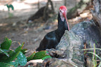 DSC_0323.JPG