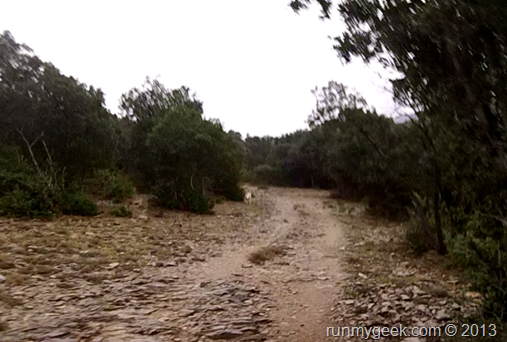 Reconnaissance ultra draille 2013