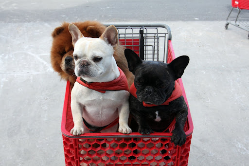 GK, do you have our shopping list?  Francesca and I are ready to roll!