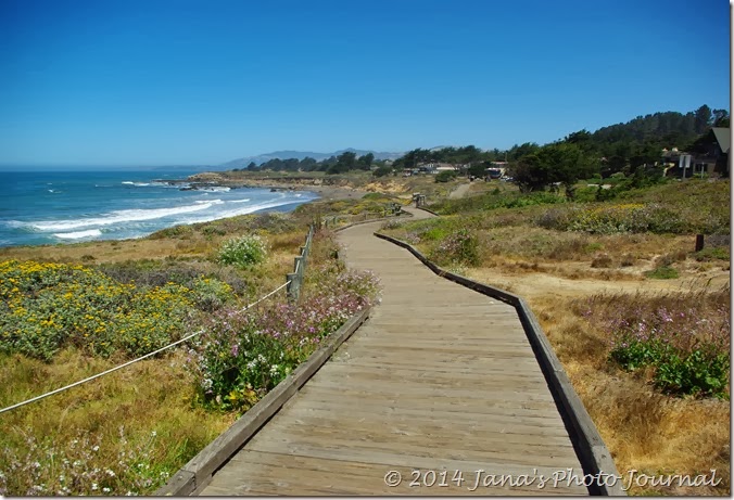 Leffingwell Landing - Cambria, California