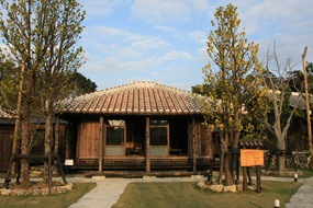 IMG_6753 IMG_6753