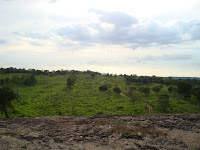 DSC05412.JPG