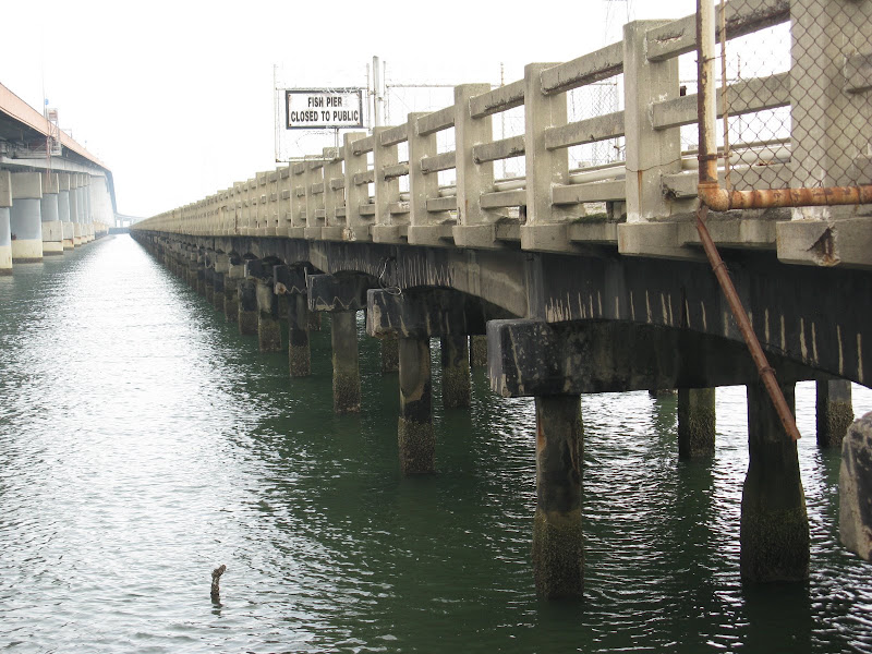 Foster City Trail 054.JPG Photo