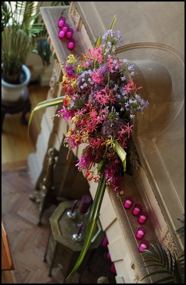 00731 beautiful blooms