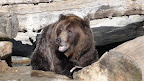 denver_zoo