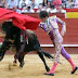 Fame of killer bull named 'Mouse' spreads in Spain