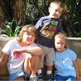 allthree.jpg