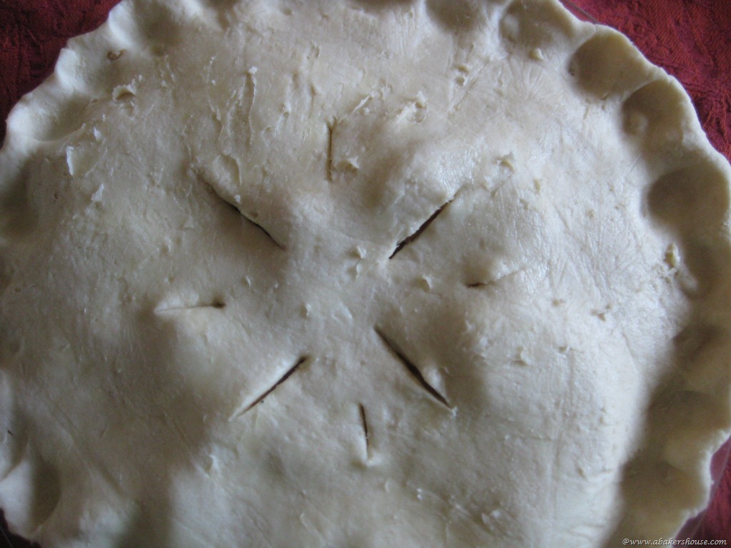 [apple%2520pie%2520ready%2520to%2520bake%255B7%255D.jpg]