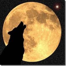 Wolf Wolf