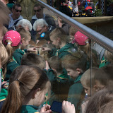 Cub Pack Holiday - Skreens Park 2012 - DSC_0121.jpg