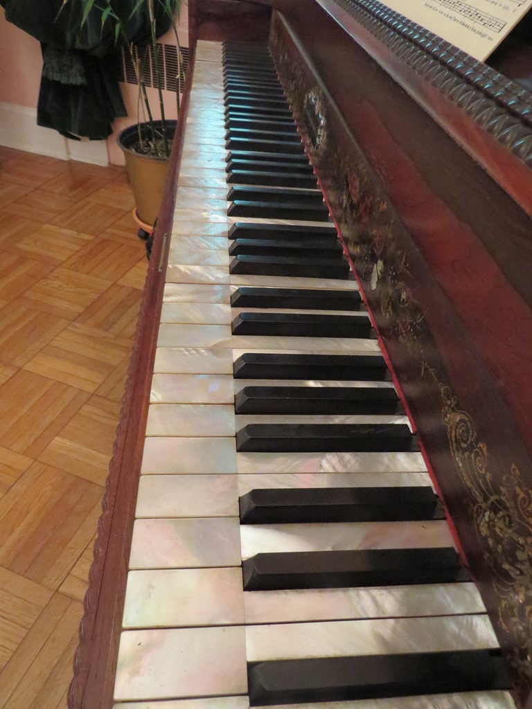 [IMG_15564.jpg]