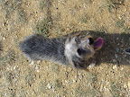 DSC00091.JPG