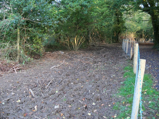 [destruction_woodland-3%255B2%255D.jpg]