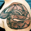 Snake