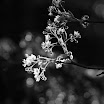 _42E0757.JPG