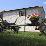 vimg_1894.jpg