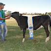 superleite2011_dia1607_66.JPG