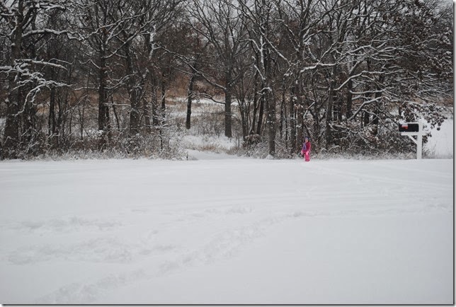 DSC_0057 DSC_0057